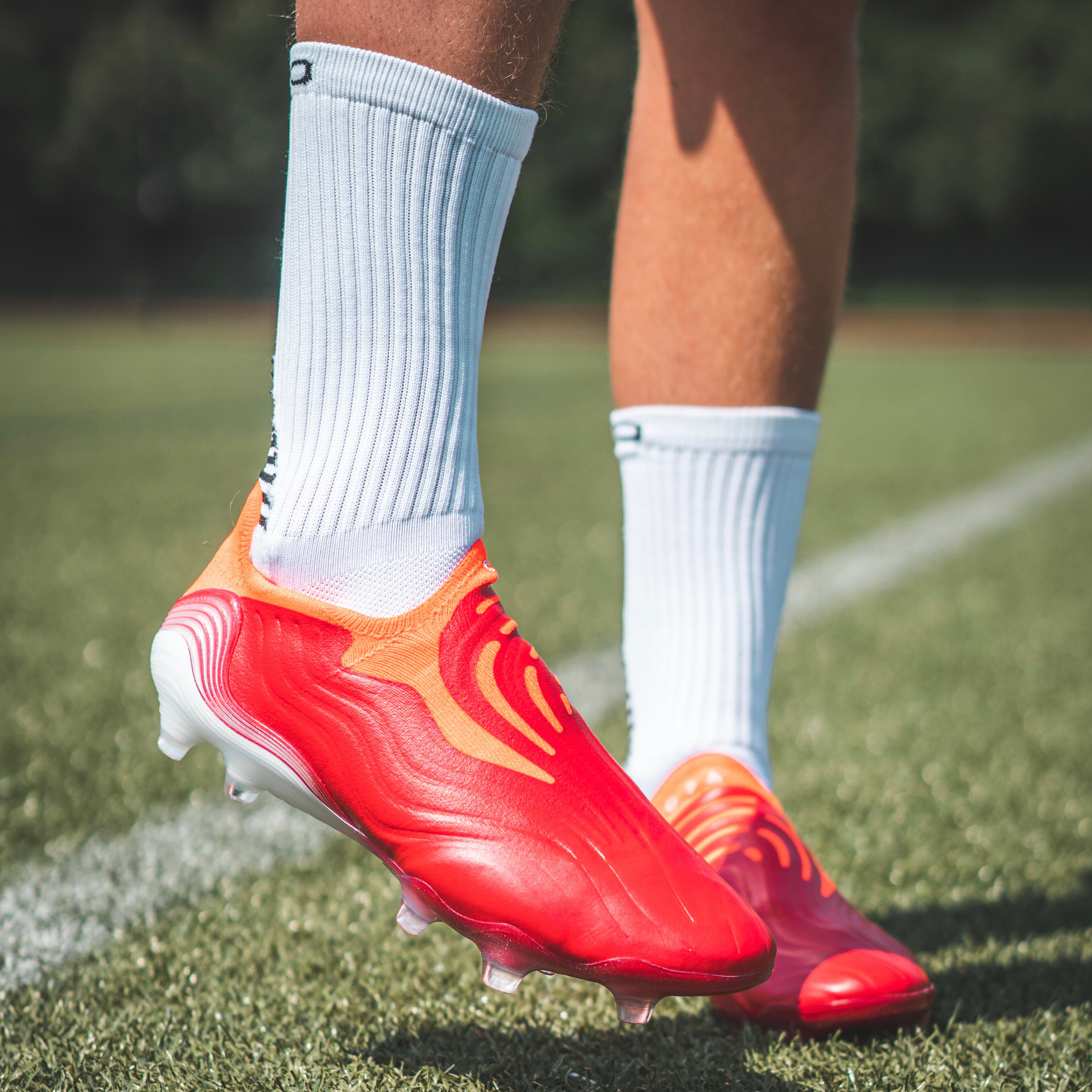 Maestro Grip Socks